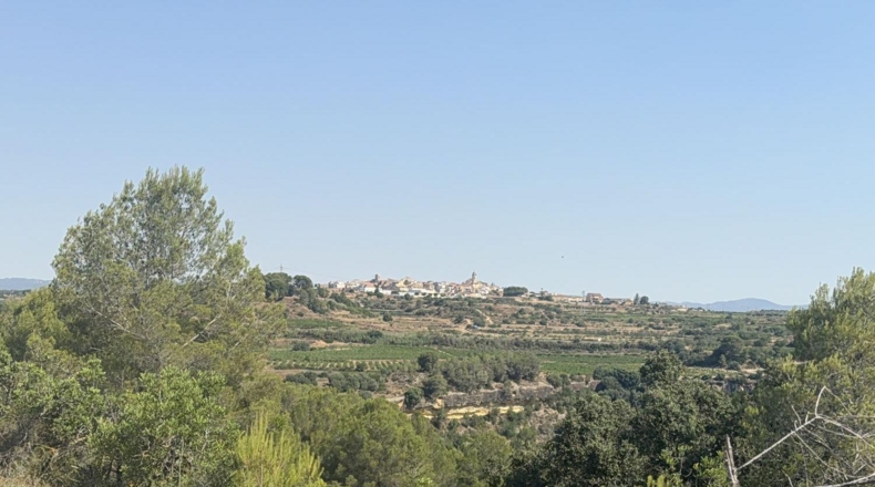 Tarragona - Vilabella - 13000m2