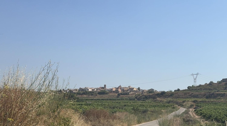 Tarragona - Vilabella - 13000m2