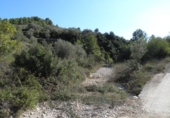 Terreno no urbanizable en venta en Tortosa ref: TR36556 foto