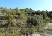 Terreno no urbanizable en venta en Tortosa ref: TR36556 foto