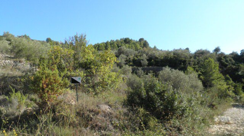 Tarragona - Tortosa - 21792m2