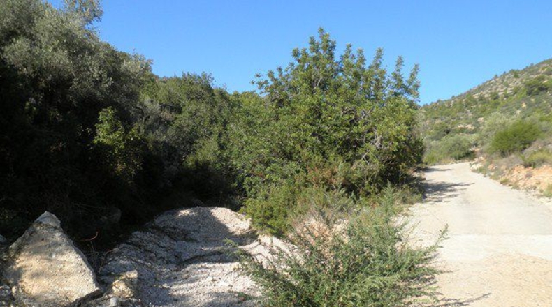 Tarragona - Tortosa - 21792m2
