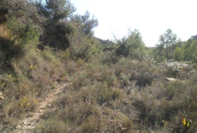Foto 8
