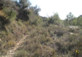 Terreno no urbanizable en venta en Tortosa ref: TR36556 foto