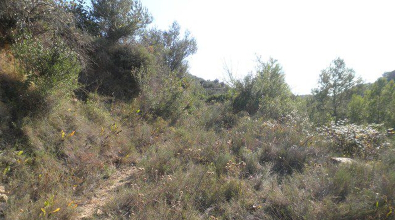 Tarragona - Tortosa - 21792m2