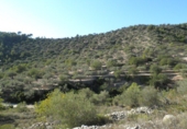 Terreno no urbanizable en venta en Tortosa ref: TR36556 foto