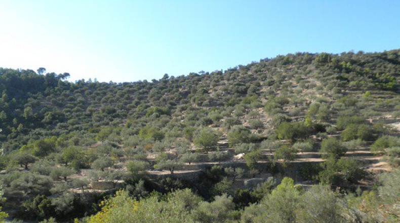 Tarragona - Tortosa - 21792m2