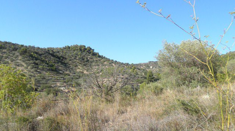 Tarragona - Tortosa - 21792m2