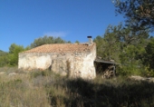 Terreno no urbanizable en venta en Tortosa ref: TR36556 foto