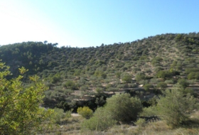 Foto 18