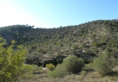 Terreno no urbanizable en venta en Tortosa ref: TR36556 foto