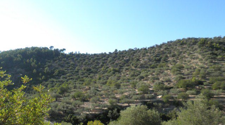 Tarragona - Tortosa - 21792m2