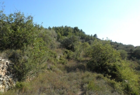 Foto 19