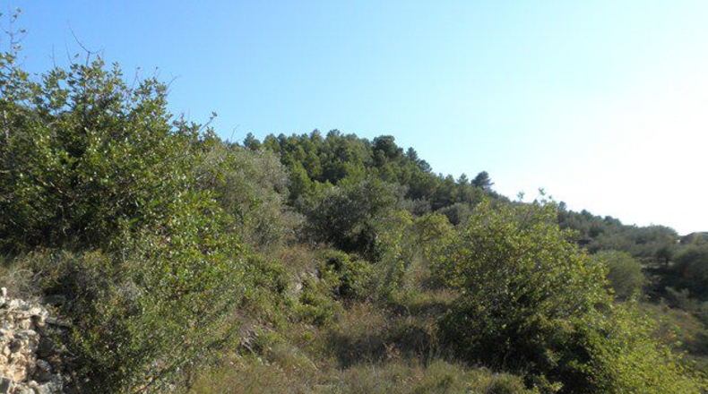 Tarragona - Tortosa - 21792m2