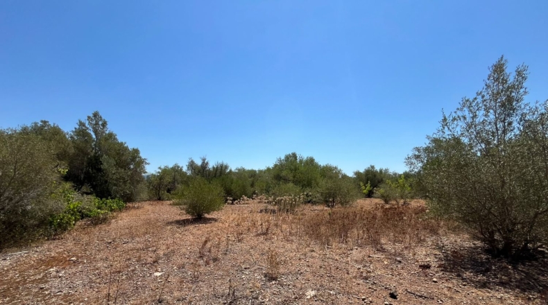 Tarragona - Roquetes - 292m2