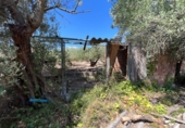 Xalet independent amb terreny en venda a Roquetes ref.: TR417117 foto