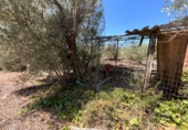 Xalet independent amb terreny en venda a Roquetes ref.: TR417117 foto