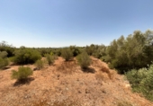 Xalet independent amb terreny en venda a Roquetes ref.: TR417117 foto