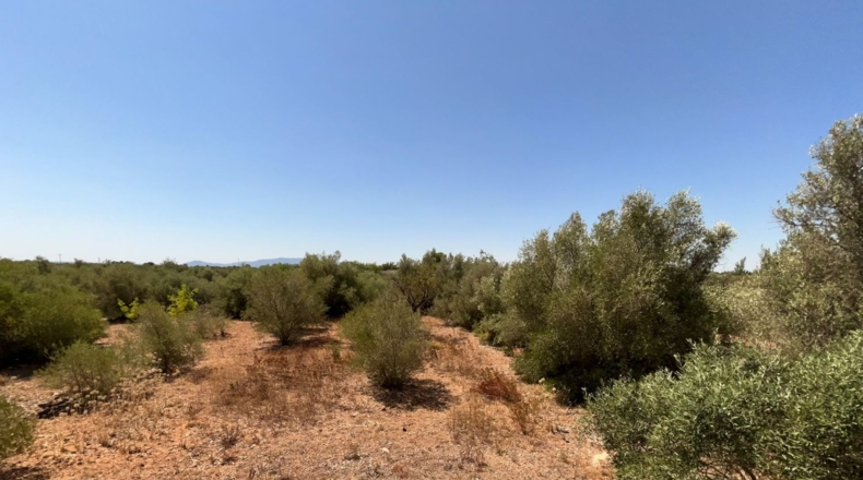 Tarragona - Roquetes - 292m2