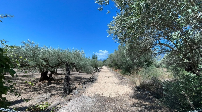 Tarragona - Roquetes - 292m2