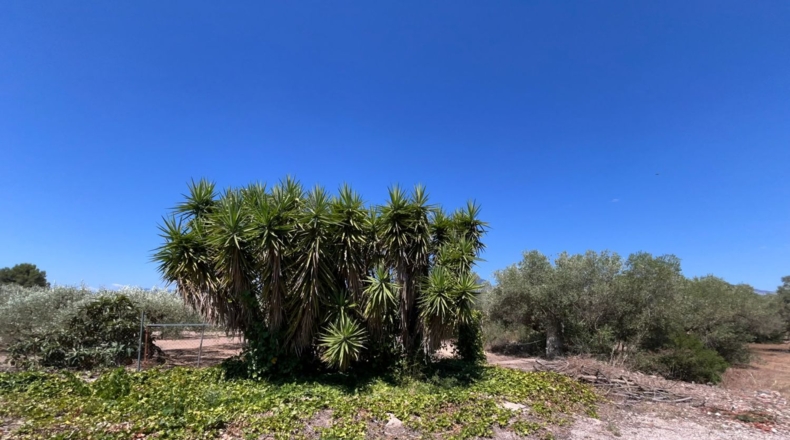 Tarragona - Roquetes - 292m2