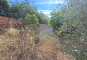 Finca rústica en venda a la Selva del Camp ref.: TR417128 foto