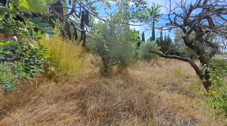 Tarragona - la Selva del Camp - 1016m2