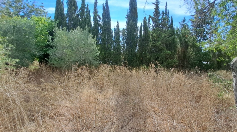 Tarragona - la Selva del Camp - 1016m2
