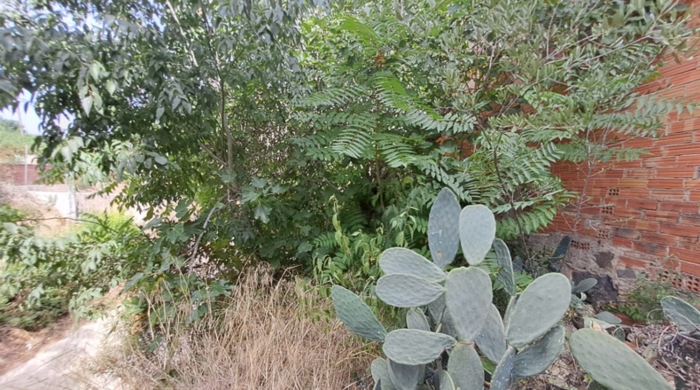 Tarragona - la Selva del Camp - 1016m2