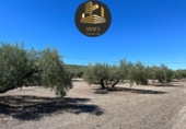 Village house for sale in Martos ref: TR417134 photo