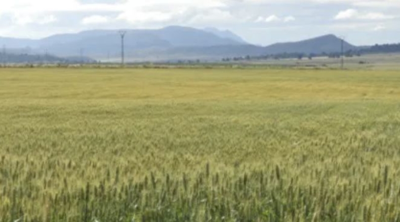 Murcia - Jumilla - 3000000m2