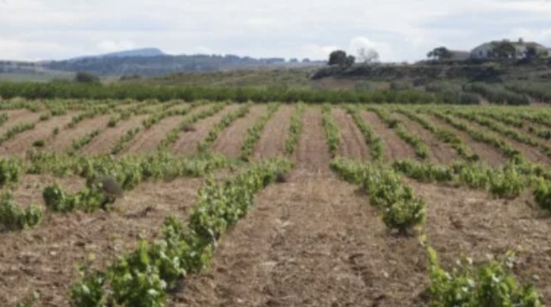 Murcia - Jumilla - 3000000m2