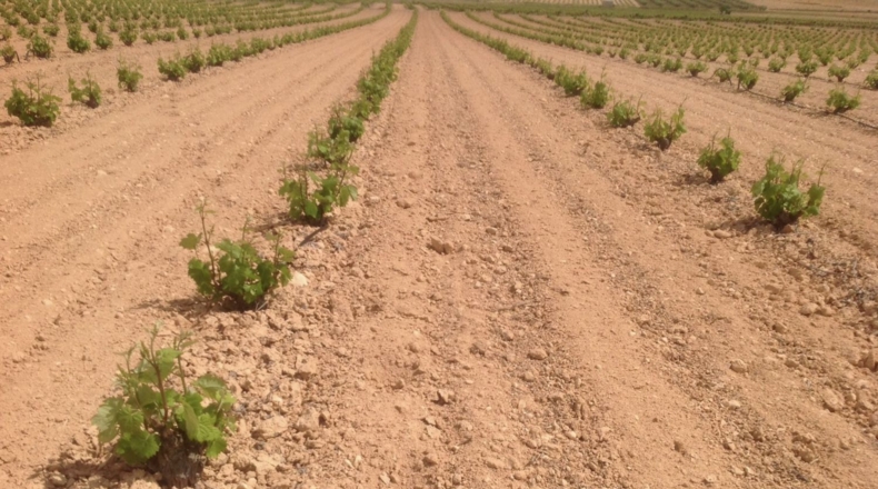Murcia - Jumilla - 3000000m2