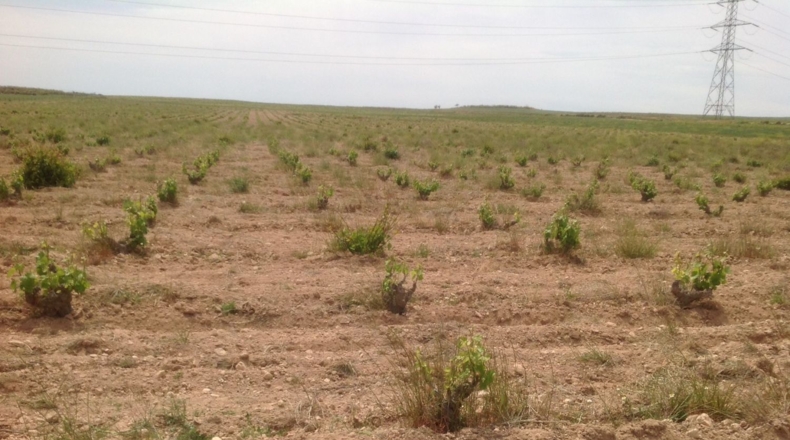 Murcia - Jumilla - 3000000m2