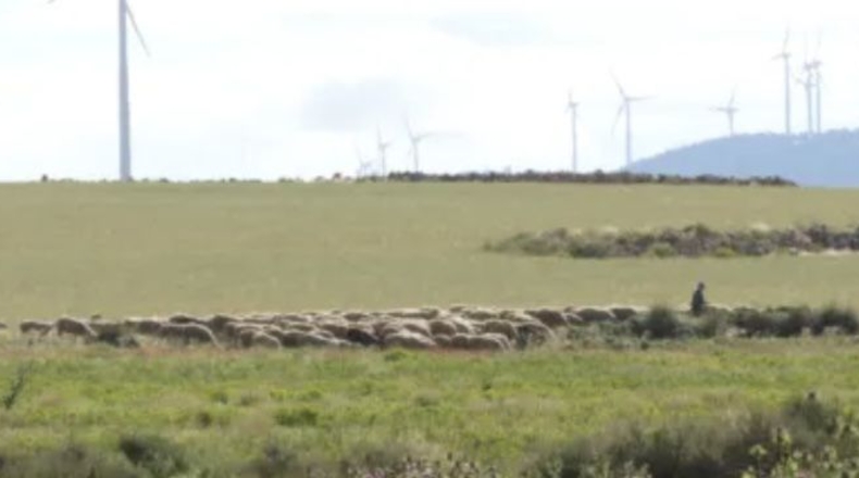Murcia - Jumilla - 3000000m2