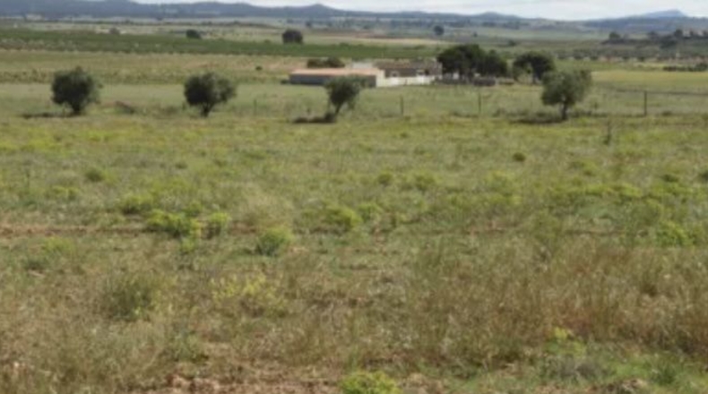 Murcia - Jumilla - 3000000m2