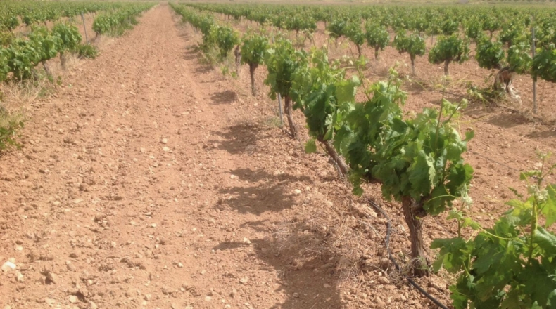Murcia - Jumilla - 3000000m2