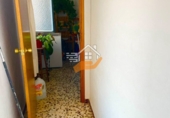 Chalet adosado con terreno en venta en Vélez-Rubio ref: TR417139 foto