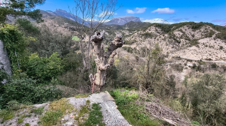 Huesca - Mesón de Puértolas - 70m2