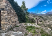 Finca rústica en venta en Mesón de Puértolas ref: TR417141 foto