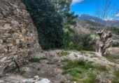 Finca rústica en venta en Mesón de Puértolas ref: TR417141 foto