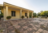 Chalet independiente con terreno en venta en Jerez de la Frontera ref: TR417143 foto