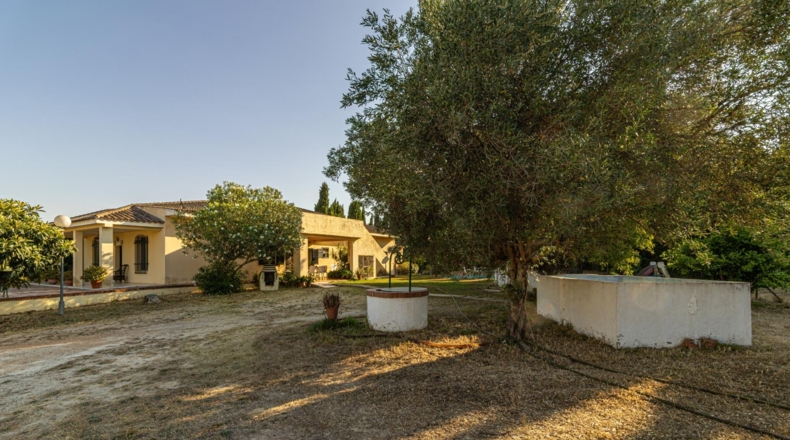 Кадис - Jerez de la Frontera - 2100m2