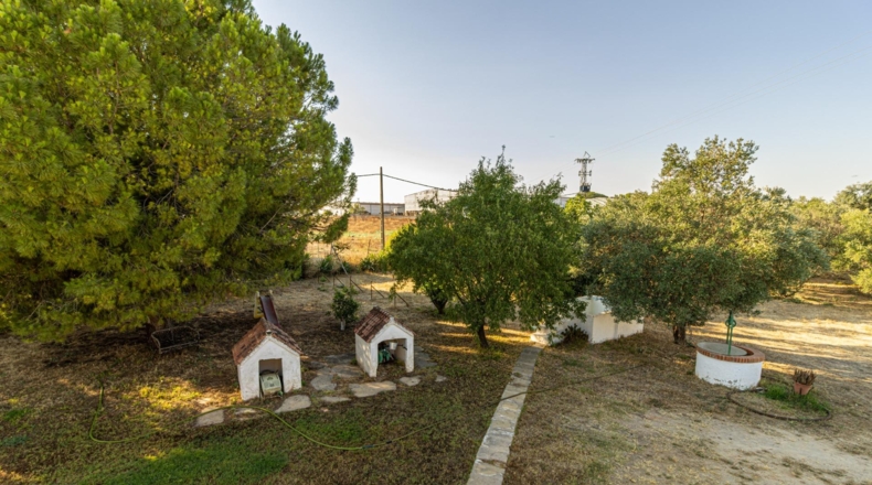 Кадис - Jerez de la Frontera - 2100m2
