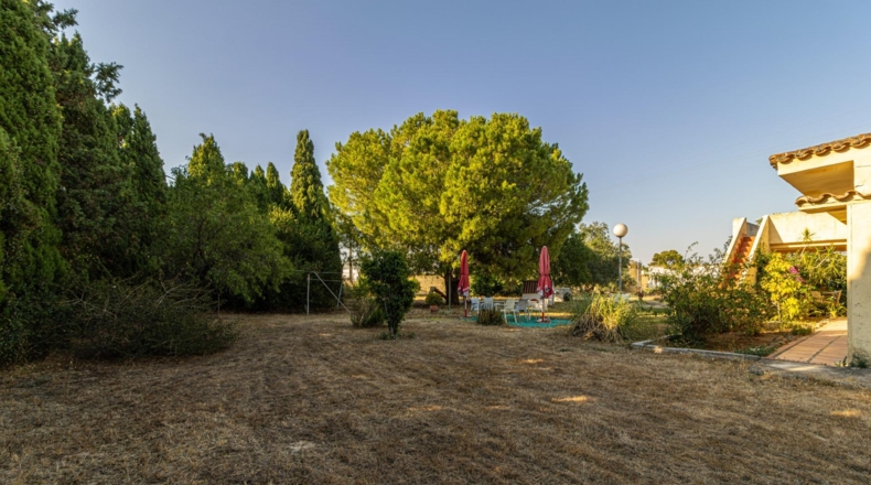 Кадис - Jerez de la Frontera - 2100m2