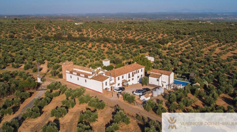 Córdoba - Barriada del Ángel - 10000m2