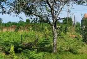 O Penedo 290&nbsp;m²