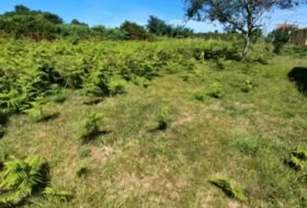 O Penedo 290&nbsp;m²