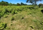 Parcela urbanizable en venta en la Rúa Galiñeiro 33, O Penedo, ref: TR417145 foto