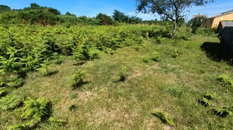 La Coruna - O Penedo - 290m2